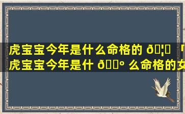 虎宝宝今年是什么命格的 🦟 「虎宝宝今年是什 🐺 么命格的女孩」